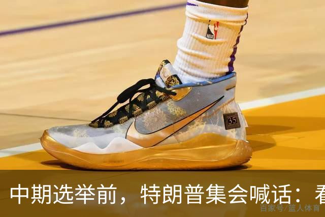 中期选举前，特朗普集会喊话：看看妮琪·米娜的“美臀”