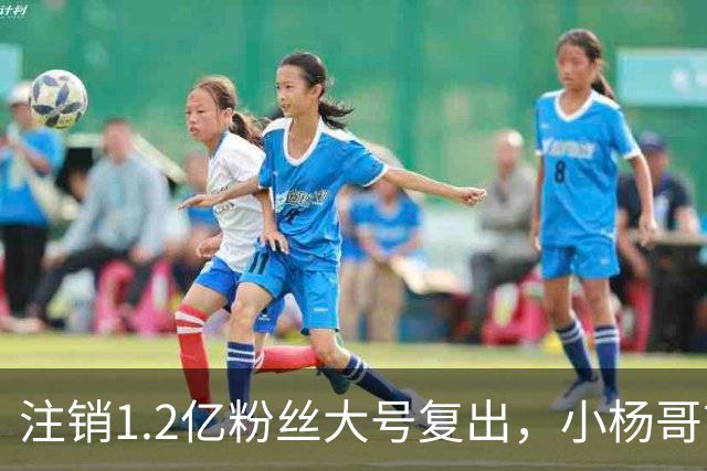 注销1.2亿粉丝大号复出，小杨哥首秀5分钟只有1700人看完